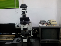 Optical microscope